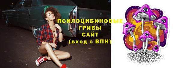 ГАЛЛЮЦИНОГЕННЫЕ ГРИБЫ Вяземский