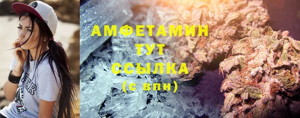 ГАЛЛЮЦИНОГЕННЫЕ ГРИБЫ Вязники