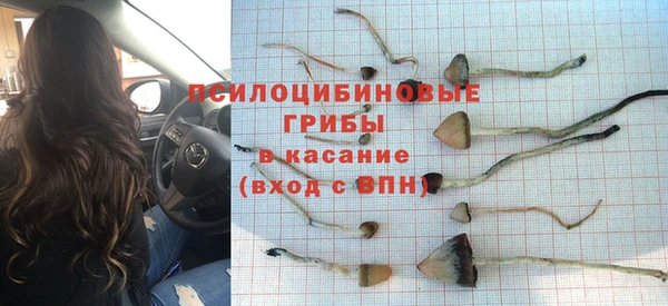 ГАЛЛЮЦИНОГЕННЫЕ ГРИБЫ Вязники