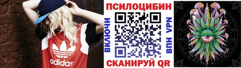где найти   Вилючинск  кракен онион  Галлюциногенные грибы ЛСД 